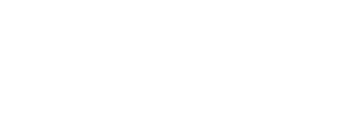 Intech — Telecom · I.T. · Mobile